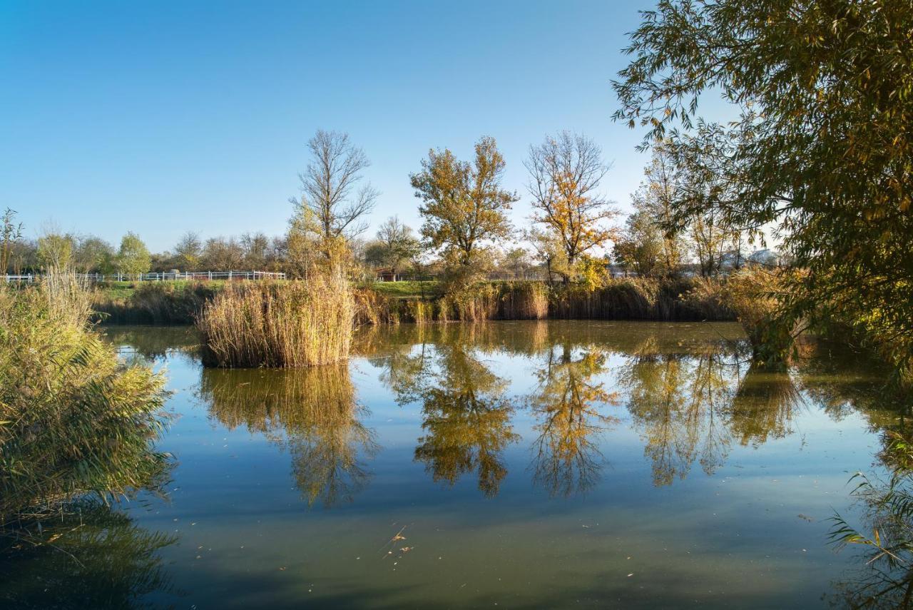 Csodaszarvas Vendeghazak Rabahidveg Exteriör bild